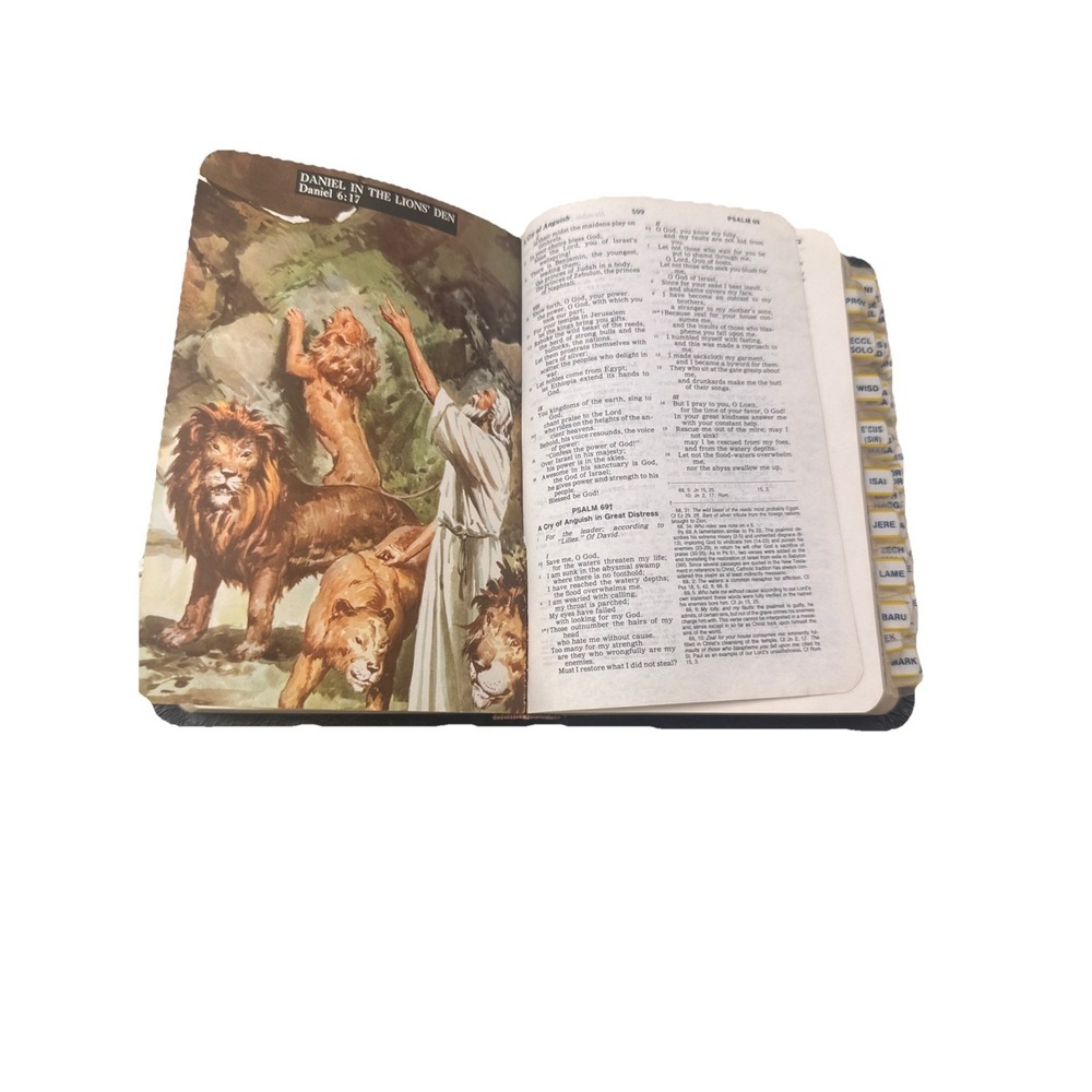 1971 New American Bible NAB‎ Catholic Edition Thomas Nelson 9023 Illustr, Tabed - Picture 3 of 7